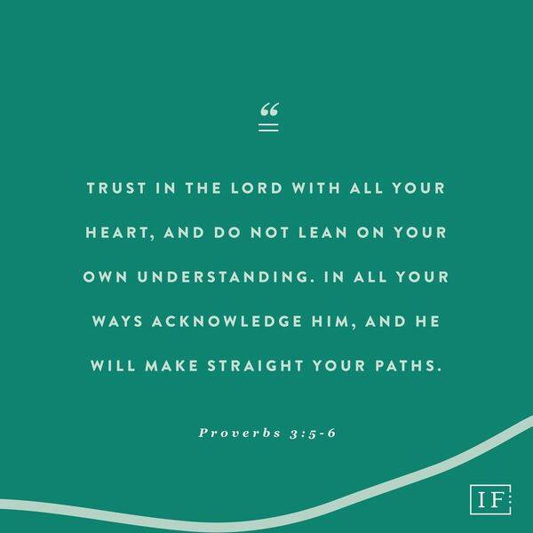 48396350_10156566228440306_8504198996003127296_n